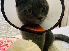 -iF摄影•全家福•证件照•形象照(南山店)