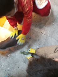 -神奇动物撸宠馆·羊驼·小浣熊·异宠(豫园店)