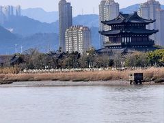 -江心屿景区