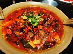 金牌毛血旺-辛香汇·现炒川菜(淮海路百盛店)