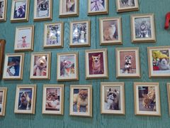 -严国平动物医院(德政总院)