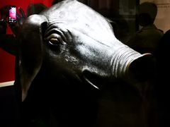 -珠海市博物馆