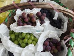 -马陆小张葡萄园农家乐