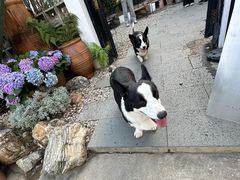 -自由生长植物工作室(深港花卉中心店)