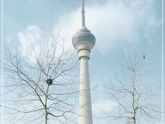 -中央广播电视塔