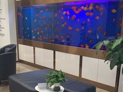 -牙博士口腔品牌连锁(杨浦店)