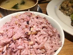 紫米饭-无印良品餐堂 MUJI Diner(成都太古里店)