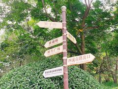 -北岭山森林公园