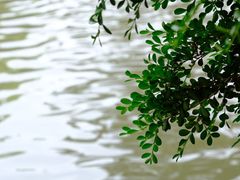 -北寺塔