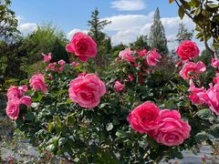 -崇圣寺三塔文化旅游区