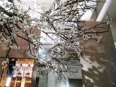 -梅花境(万科店)