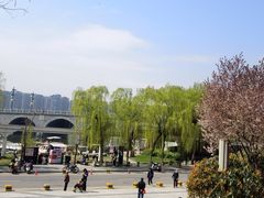 -西安曲江寒窑遗址公园