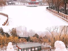 -迎泽公园