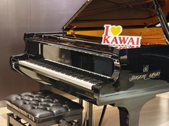 -柏斯音乐艺术中心·钢琴·吉他(上音店)