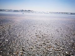 -台山黑沙湾海浴场