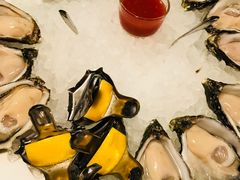 -Oyster Talks 四度蚝法餐厅