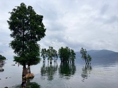 -大理洱海