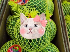 -农工商超市(金沙江路店)