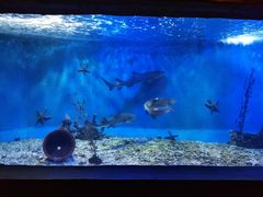 -太平洋海底世界