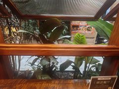 -银米·云南传统过桥米线(双廊黑金冠店)