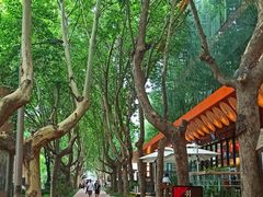 -西安电影制片厂