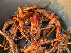 -桤木河湿地公园