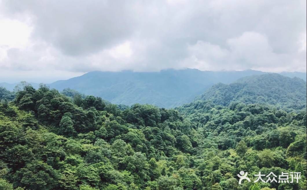 攻略:问道青城山。