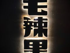 -毛辣果·酸