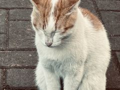 -晓港公园