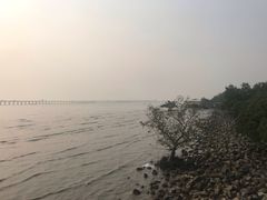 -宝安西湾红树林湿地公园