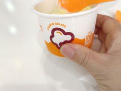 -iceason爱茜茜里·意大利健康冰淇淋(骑龙巷店)