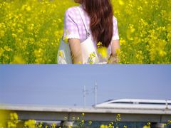 -光明小镇欢乐田园