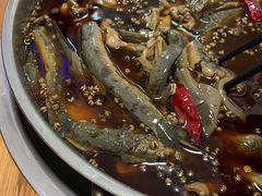胖泥鳅-邱氏胖泥鳅(大堰店)