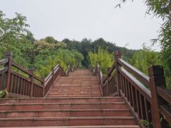 -铁山坪森林公园