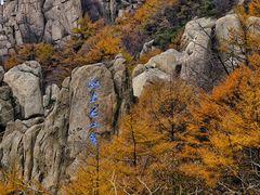 -崂山巨峰游览区