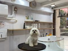 -佐罗家宠物馆·猫文化馆(紫霞路店)