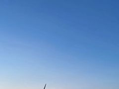 -东白山