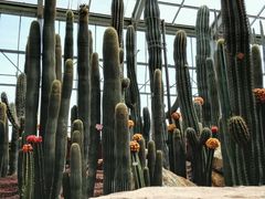 -南通洲际绿博园