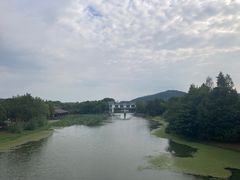 -长广溪湿地公园