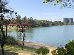 -美兰湖景区