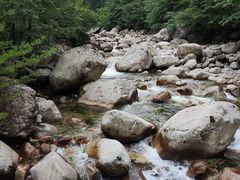 -青峰峡国家森林公园