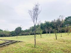 -福神岗公园