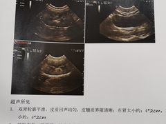 -萌兽医馆·犬猫专科·眼科中心·宠物医院(朝阳门分院)
