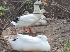 -城市运动公园(未央区)
