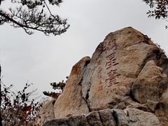 -遵化市禅林寺古银杏风景园