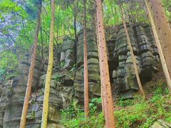 -梭布垭石林景区