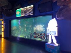 -烟台海昌鲸鲨海洋公园
