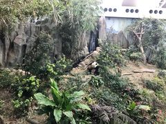 -河川生态园