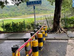 -风云岭森林公园