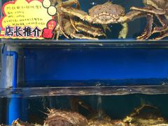 -蚝专家(北滘店)